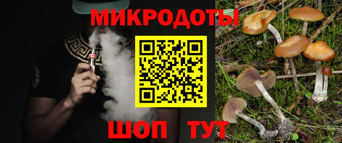 Псилоцибиновые грибы Cubensis Алатырь